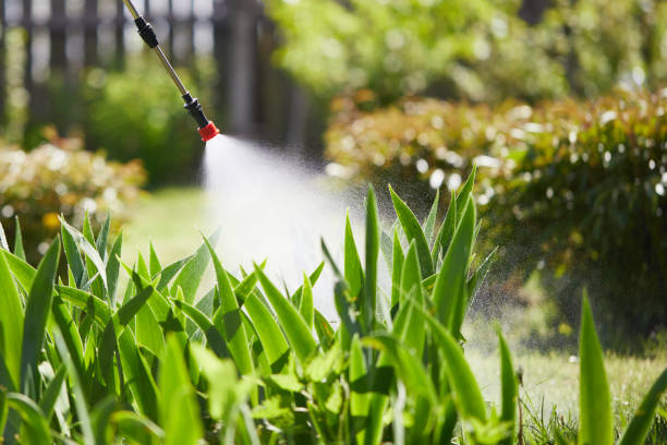 24/7 Emergency Mosquito Control experts in Enfield, NC